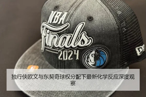 独行侠欧文与东契奇球权分配下最新化学反应深度观察