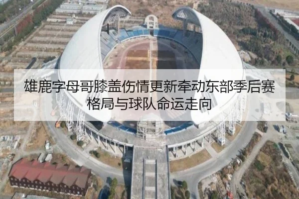 雄鹿字母哥膝盖伤情更新牵动东部季后赛格局与球队命运走向