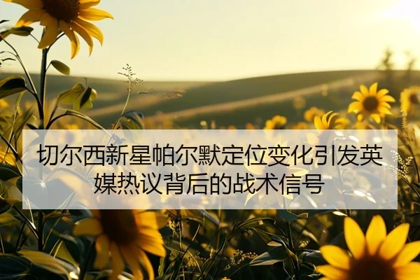切尔西新星帕尔默定位变化引发英媒热议背后的战术信号