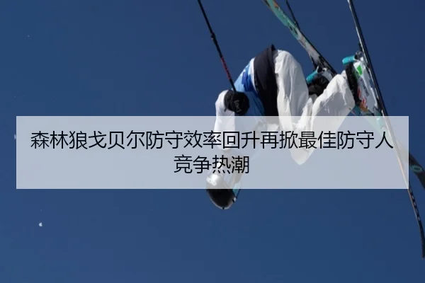 森林狼戈贝尔防守效率回升再掀最佳防守人竞争热潮